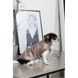 Жилет Pet Fashion Hardy для собак утепленный водонепроницаемый с отверстием для поводка бежевый размер M PR243749 фото 6