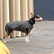 Жилет Pet Fashion E.Vest для собак сірий XS-2 PR242436 фото 3