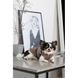 Жилет Pet Fashion Hardy для собак утепленный водонепроницаемый с отверстием для поводка бежевый размер M PR243749 фото 7