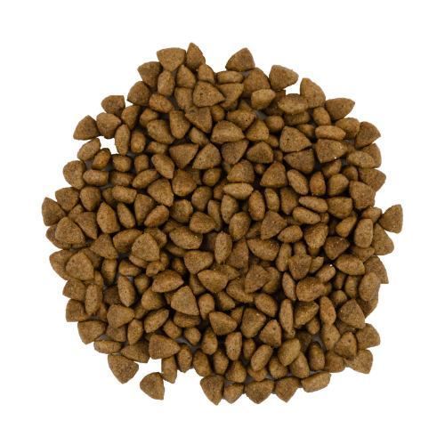 Корм сухой Savory Adult Cat Sensitive Digestion Fresh Lamb and Turkey для кошек с чувствительным пищеварением со свежим ягненком и инд 30099 фото