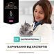 Влажный диетический корм PRO PLAN VETERINARY DIETS EN Gastrointestinal для котят и взрослых кошек для уменьшения расстройств кишечной абсорбции и кормления в период восстановления, выздоровления, с курицей, 10х85 г 8445290093561 фото 8