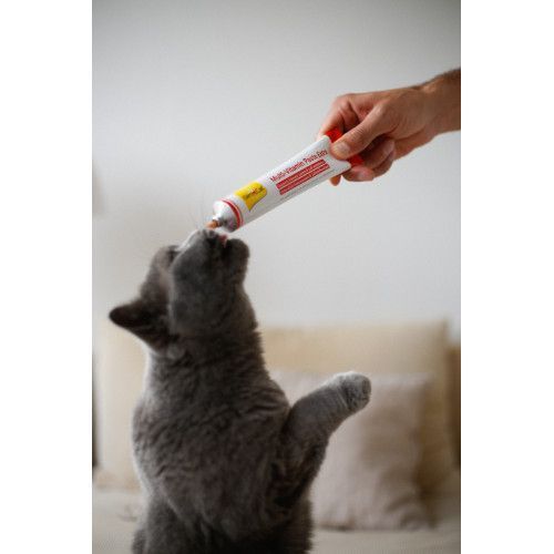 Вітаміни GimCat Every Day Extra мультивітамінна паста для котів для покращення імунітета 100 г G-421612/401324 фото