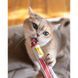 Вітаміни GimCat Every Day Extra мультивітамінна паста для котів для покращення імунітета 100 г G-421612/401324 фото 6