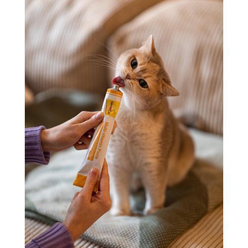 Вітаміни GimCat Every Day мультивітамінна паста для котів для покращення імунітета 200 г G-421636/401881 фото