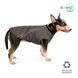 Жилет Pet Fashion E.Vest для собак сірий М PR242439 фото 2