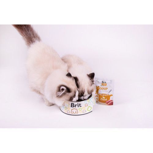 Корм влажный Brit Care Soup Duck д/котел суп с уткой 75 г 101056 фото