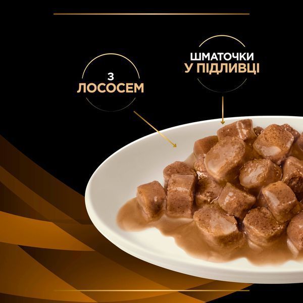 Вологий дієтичний корм PRO PLAN VETERINARY DIETS NF Renal Function Advanced Care для дорослих котів при патології нирок, з лососем, 10х85 г 7613287873699 фото