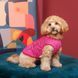 Борцівка Kale ТМ Pet Fashion для собак XS2 малина PR 441969 фото 4
