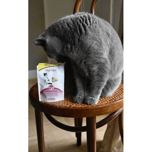 Вітаміни GimCat Every Day Malt Tabs для котів таблетки для виведення шерсті 40 г G-427034/427065 фото