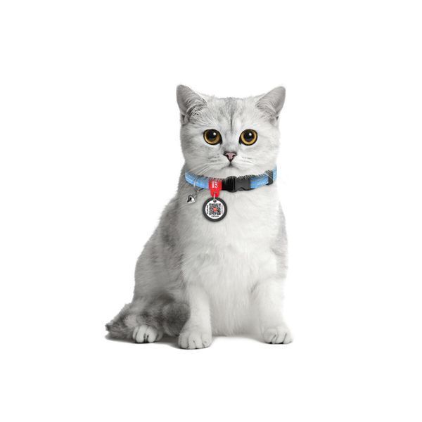 Ошейник для кошек из восстановленного хлопка WAUCAT Re-cotton с QR паспортом, светоотражающий, пластиковый фастекс, XS, Ш 10 мм, Длин 20-30 см, голубой 16422 фото