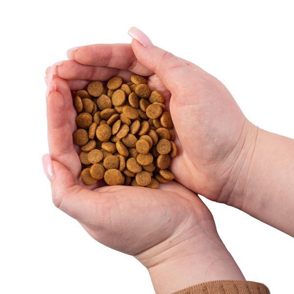 Nature's Protection Adult All Breeds Сухий корм для дорослих собак усіх порід з м'ясом птиці, 4 кг NPS45739 фото