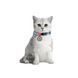Ошейник для кошек из восстановленного хлопка WAUCAT Re-cotton с QR паспортом, светоотражающий, пластиковый фастекс, XS, Ш 10 мм, Длин 20-30 см, голубой 16422 фото 3