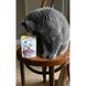 Вітаміни GimCat Every Day Malt Tabs для котів таблетки для виведення шерсті 40 г G-427034/427065 фото 3