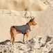 Жилет Pet Fashion E.Vest для собак серый L PR242441 фото 5