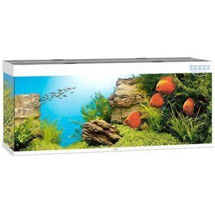 Аквариум Juwel прямой Rio 450 LED, 151x66x51 см, 450 л 5450 Juwel фото