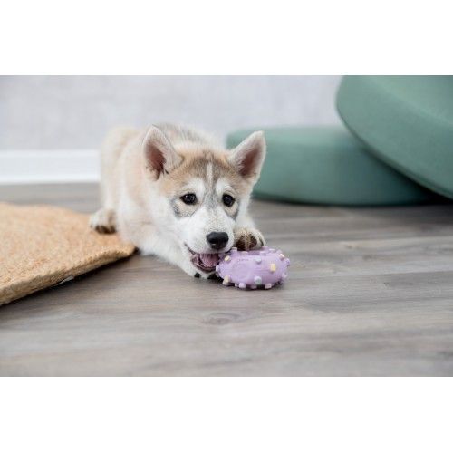 Іграшка Trixie для цуценят Кільце Junior латекс 8 см 35612 фото