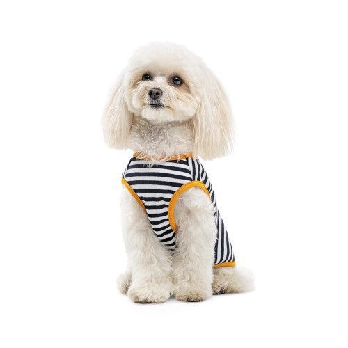 Борцовка Kale ТМ Pet Fashion для собак S полосатая PR 441983 фото