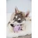 Іграшка Trixie для цуценят Кільце Junior латекс 8 см 35612 фото 8