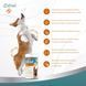 Витамины 8in1 Excel Glucosamine для щенков и взрослых собак для суставов 55 шт 661827 фото 10