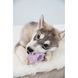 Іграшка Trixie для цуценят Кільце Junior латекс 8 см 35612 фото 7