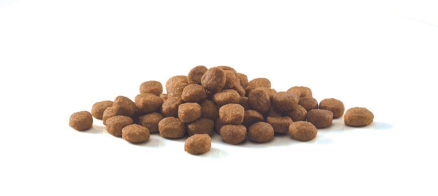 Сухой корм PURINA ONE Indoor для взрослых кошек, постоянно находящихся в помещении, комплекс Bifensis, с индейкой, 200 г 7613034604996 фото