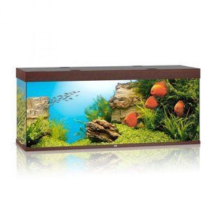 Аквариум Juwel прямой RIO 450 LED, 151х66х51 см, 450 л 5750 фото