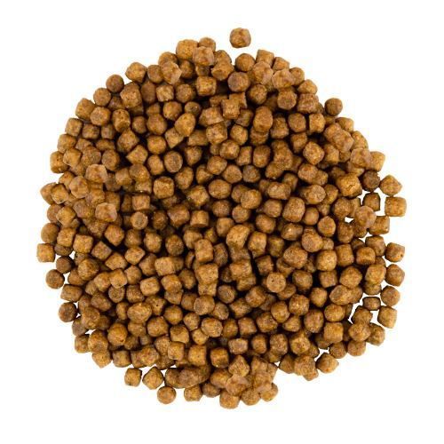 Корм сухой Savory Kitten rich in Fresh Turkey and Chicken для котят всех пород со свежей индейкой и курицей 8 кг 30150 фото