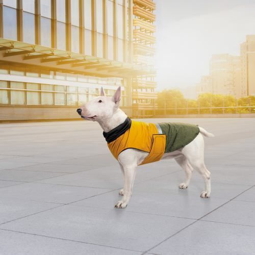 Попона Pet Fashion Roy для собак хакі/гірчиця 2XL PR243284 фото