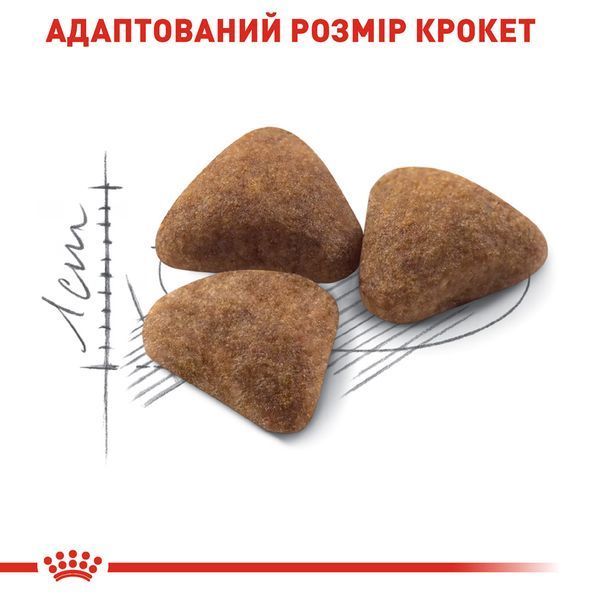 Корм для домашних кошек ROYAL CANIN INDOOR 4.0 кг 25290409 фото