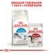 Корм для домашних кошек ROYAL CANIN INDOOR 4.0 кг 25290409 фото 7
