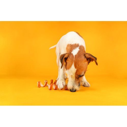 Ласощі Trixie Denta Fun Chicken Chewing Curls для собак Палички для чищення зубів сиром ятна шкіра з куркою 15 см 110 г 3 шт 31473 фото