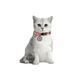 Ошейник для кошек из восстановленного хлопка WAUCAT Re-cotton с QR паспортом, светоотражающий, пластиковый фастекс, XS, Ш 10 мм, Длин 20-30 см, оранжевый 16424 фото 4