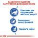 Корм для домашних кошек ROYAL CANIN INDOOR 7+(от 7 лет) 3.5 кг 25480359 фото 4