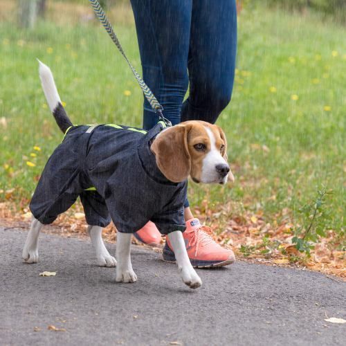 Комбінезон Pet Fashion Rain для собак сірий M2 PR242592 фото