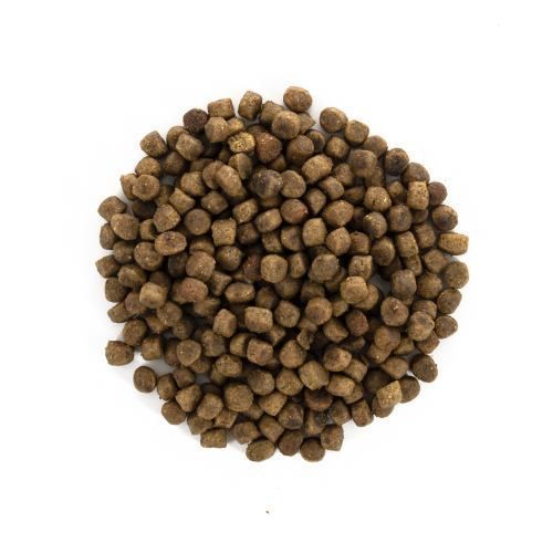 Корм сухий Brit Care Cat Grain Free Kitten Healthy Growth and Development для кошенят для здорового зростання та розвитку 7 171277 фото