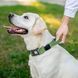 Ошейник для собак с ручкой хлопчатобумажная тесьма CoLLaR Брезент, пластиковый фастекс, L, Ш 35 мм, Длин 53-69 см 9936 фото 2