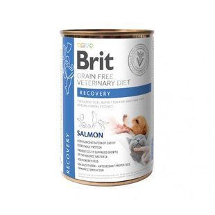 Вологий корм Brit Grain Free Veterinary Diets Recovery для дорослих собак та котів для відновлення після хвороби чи операції 100291 фото