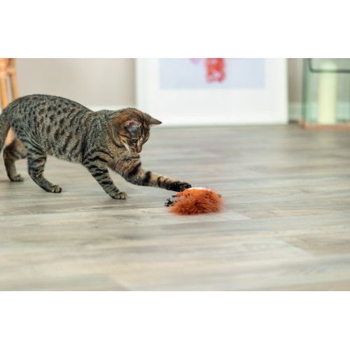 Игрушка Trixie для кошек Белка плюш с пор ям и кошачьей мятой 24 см 45681 фото