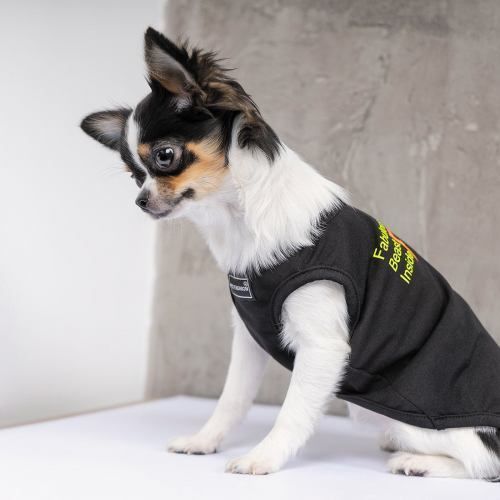 Борцівка Pet Fashion &laquo;FBI&raquo; для собак, розмір XS, чорна PR242020 фото