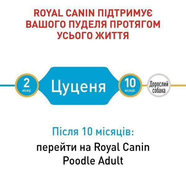 Корм для цуценят собак породи Пудель ROYAL CANIN PUPPY POODLE 0.5 кг 2997844254 фото