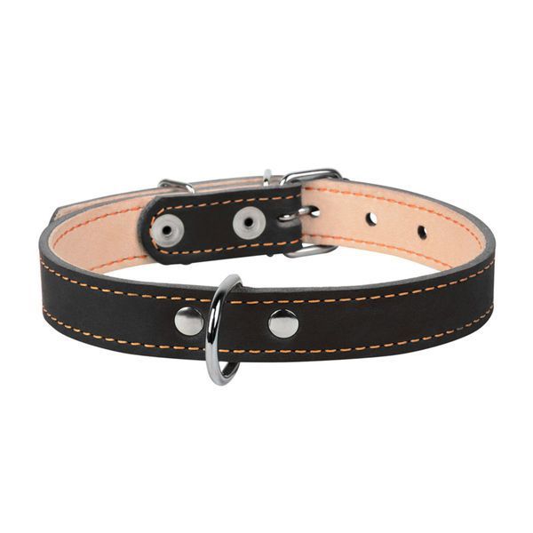 Ошейник "CoLLaR двойной (ширина 14мм, длина 27-35см) черный 00121 фото