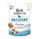 Ласощі Brit Care Functional Snack Recovery Herring д/собак напіввологі д/відновлення оселедець 150 г 111426 фото 1