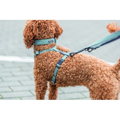 Шлея Trixie CityStyle H-harness для собак бавовна XS&ndash;S 30&ndash;44 см 10 мм світло-зелена 1969616 фото