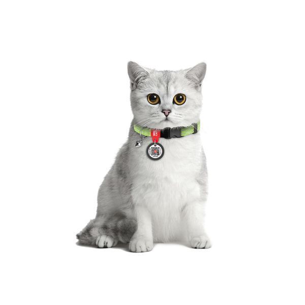 Ошейник для кошек из восстановленного хлопка WAUCAT Re-cotton с QR паспортом, светоотражающий, пластиковый фастекс, XS, Ш 10 мм, Длин 20-30 см, салатовый 16425 фото