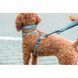 Шлея Trixie CityStyle H-harness для собак бавовна XS&ndash;S 30&ndash;44 см 10 мм світло-зелена 1969616 фото 3