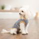 Борцівка Kale ТМ Pet Fashion для собак XS смугаста PR 442027 фото 4