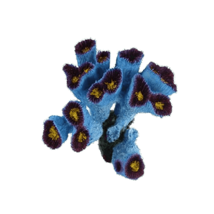 Искусственный коралл Blue Treasure HZY 223, 10&times;3&times;10 см 180545 фото
