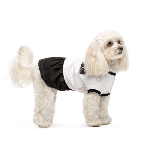 Сукня Chanti ТМ Pet Fashion для собак M PR 442034 фото