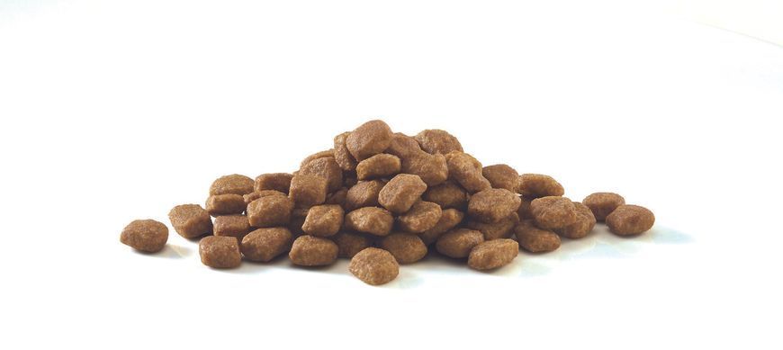 Сухой корм PURINA ONE Sensitive для взрослых кошек с чувствительной пищеварительной системой, комплекс Bifensis, с индейкой, 800 г 7613035467903 фото
