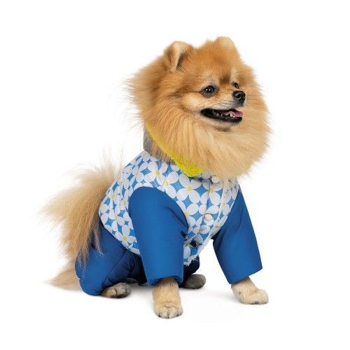 Костюм Pet Fashion Tender для дівчаток, розмір XS2, синій PR242765 фото
